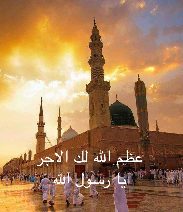Almosawi_14's tweet photo. الصلاةعلى الإمام الباقر
اللهم صل على محمدبن علي
باقرالعلم وإمام الهدى وقائدأهل التقوى والمنتجب من عبادك
اللهم وكماجعلته علمالعبادك ومنارالبلادك
ومستودعالحكمتك
ومترجمالوحيك وأمرت بطاعته وحذرت من معصيته
فصل عليه أفضل ماصليت على أحدمن ذريةأنبيائك وأصفيائك ورسلك وأمنائك
يارب العالمين https://t.co/YNCar2WgFZ