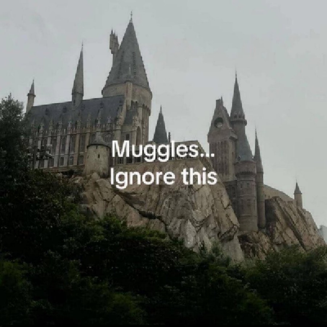 Daily Harry Potter tweet media