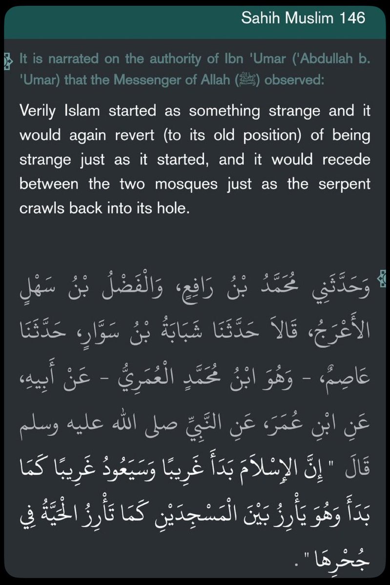 &/ tweet media