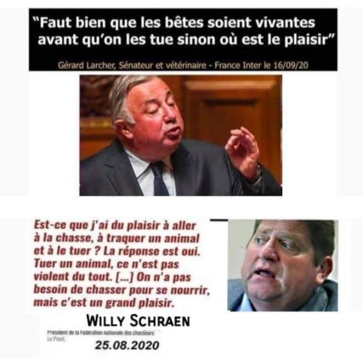 FrancFranssais's tweet photo. @AdamGirard1990 @didierjean050 Nos gentils petits #Chiasseurs ....comment ne pas les aimer
#LaChasseUnProblemeMortel
#LaChasseUnePassionDeMerde
#IlsChiassentNousTirons 
#TironsLaChasse
#Psychopathes
#Sociopathes
#AccidentDeChasse
#LesSaigneursdeFrance néandertaliens , faites du #BallTrap https://t.co/tfnIVPPMFd
