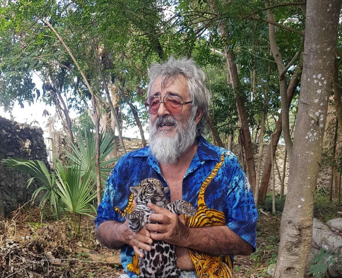 Jaguares de Quintana Roo tweet media