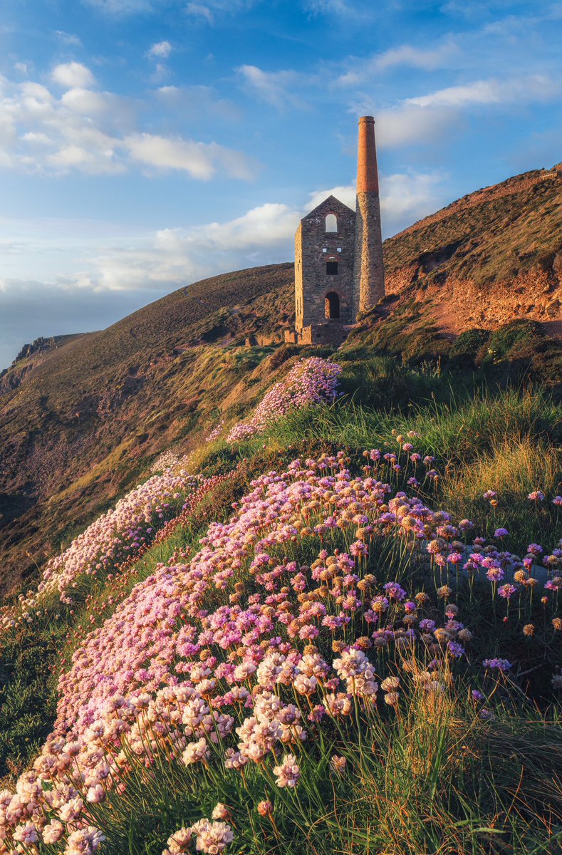 Cornwalloncam's tweet photo. The sea pinks are back at Wheal Coates, and itโs always good to see them return to the cliff tops.
A bit of colour and softness alongside one of Cornwallโs most iconic engine houses.
#WhealCoates #SeaPinks #CornwallPhotography #Cornwall https://t.co/hRkGsbfW8l