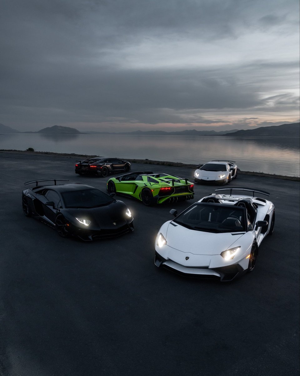 svalleyphoto's tweet photo. Friends who have the same goals>>>> https://t.co/4O4J8pGfYs