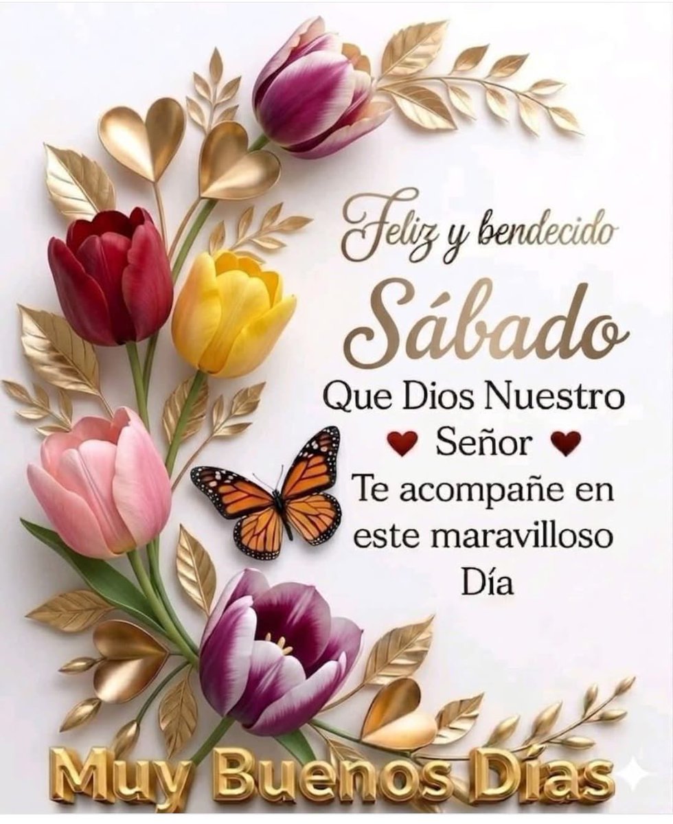 rodilser's tweet photo. @CastucciLucia https://t.co/ocYumMiaJJ