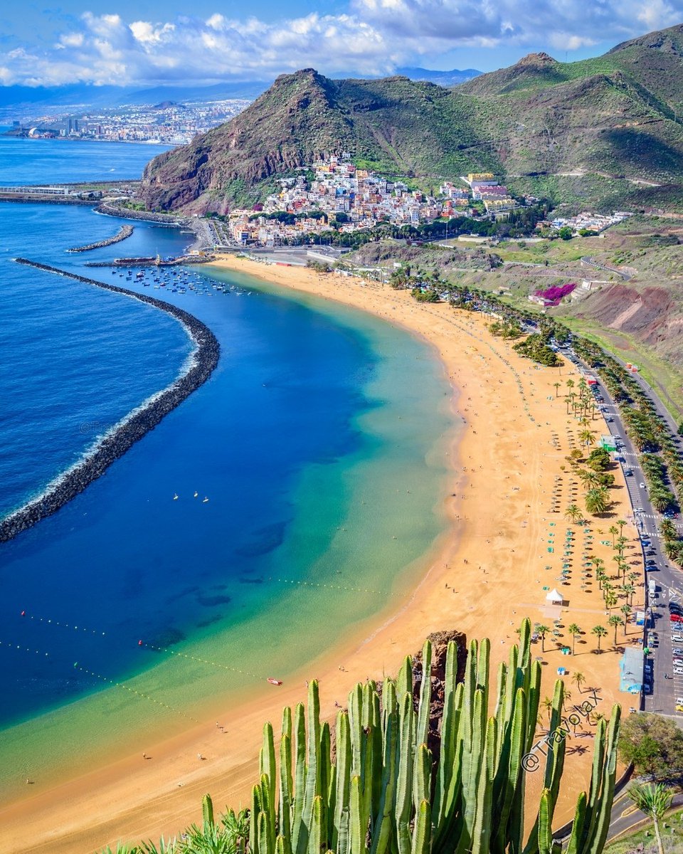 travolax's tweet photo. The Canary Islands were not named after the bird. The origin is far more interesting. https://t.co/MACrxwtBLx