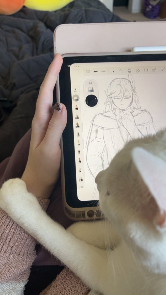 notsushi (kebby!!!) tweet media