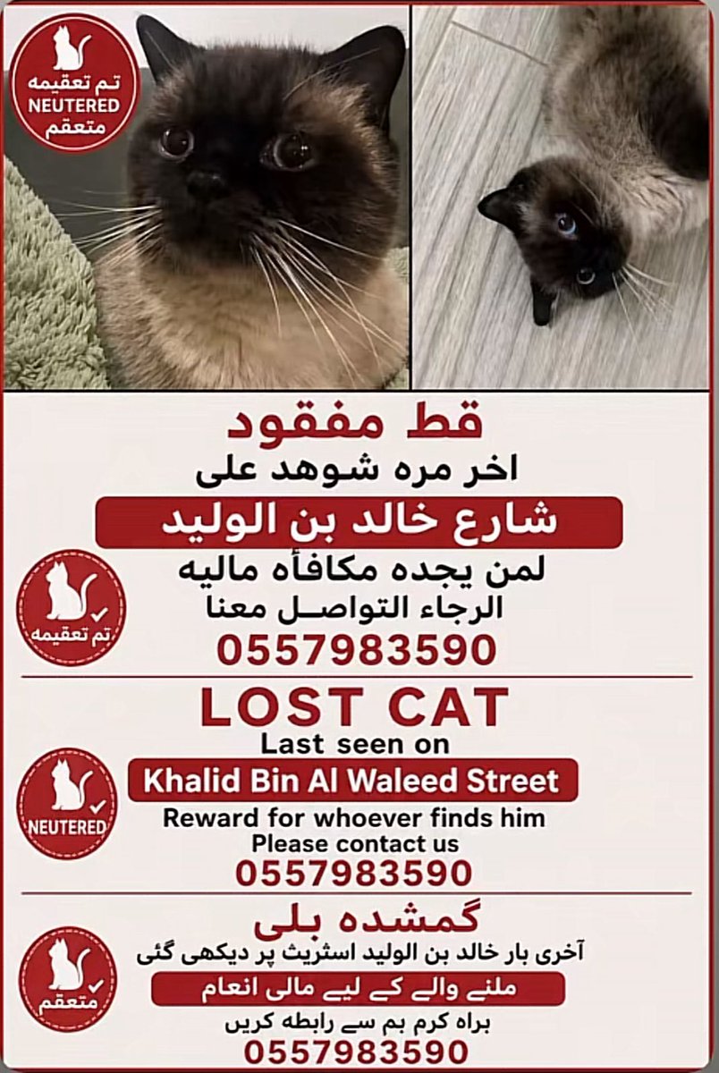 straycatsacc's tweet photo. عاجل🔴🔴
لو سمحتو سوو رتويت يمكن احد يلقاه
#قطط #الرياض #قطط_مفقودة https://t.co/ljZSgB2dcl