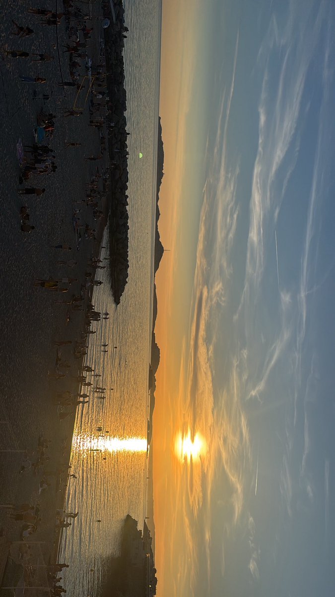 Ꭿ 🎑 tweet media