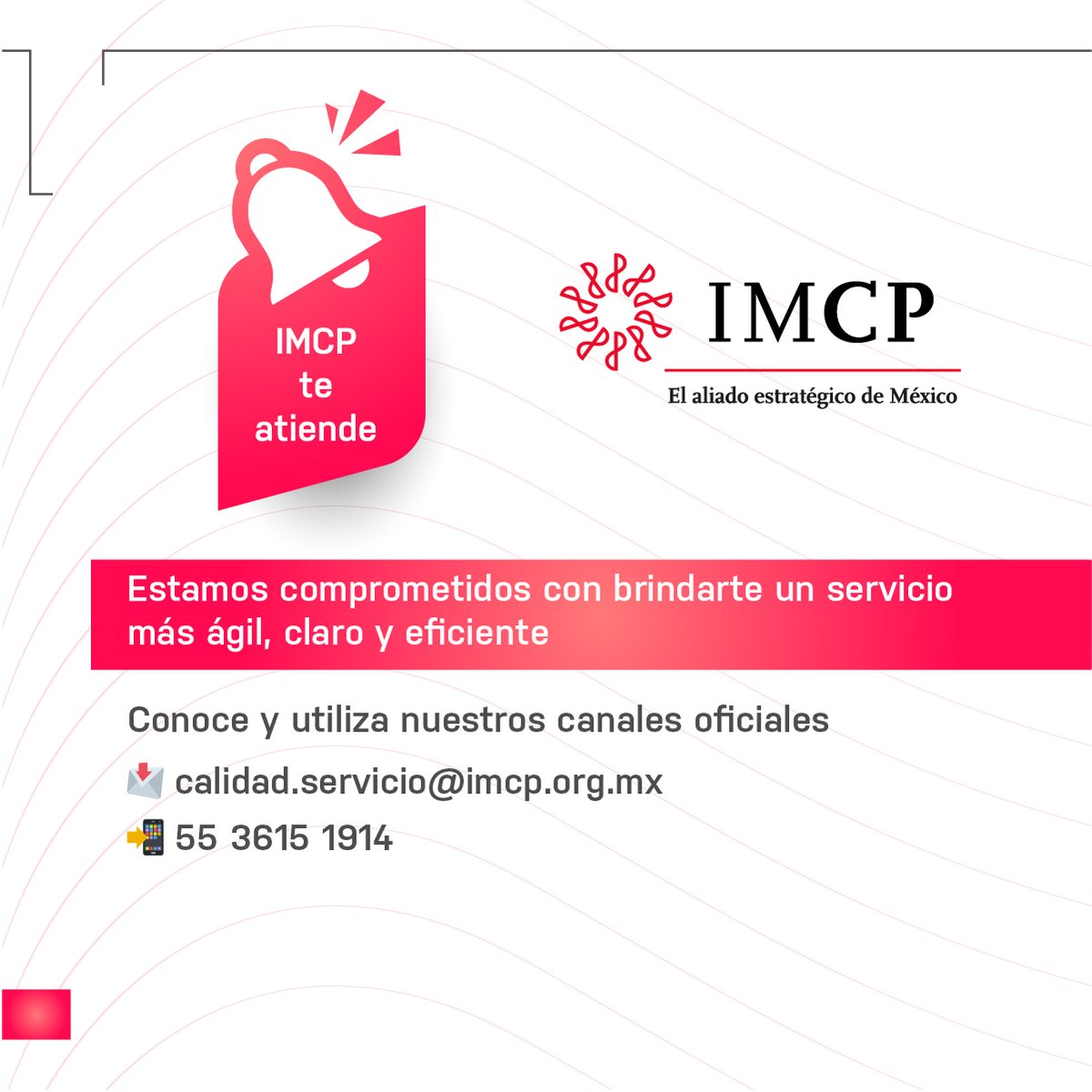 Contadores Públicos tweet media