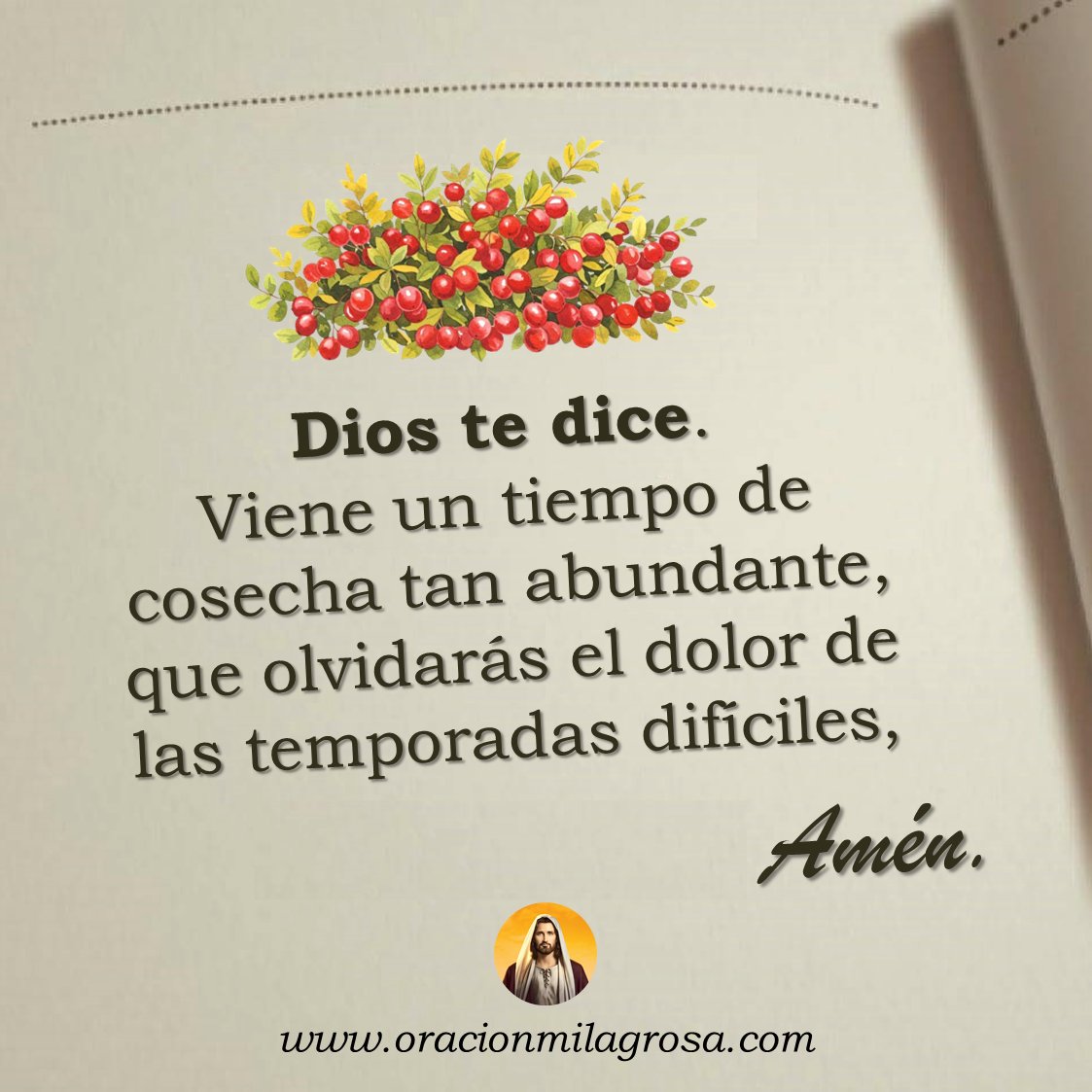 Oración Milagrosa tweet media