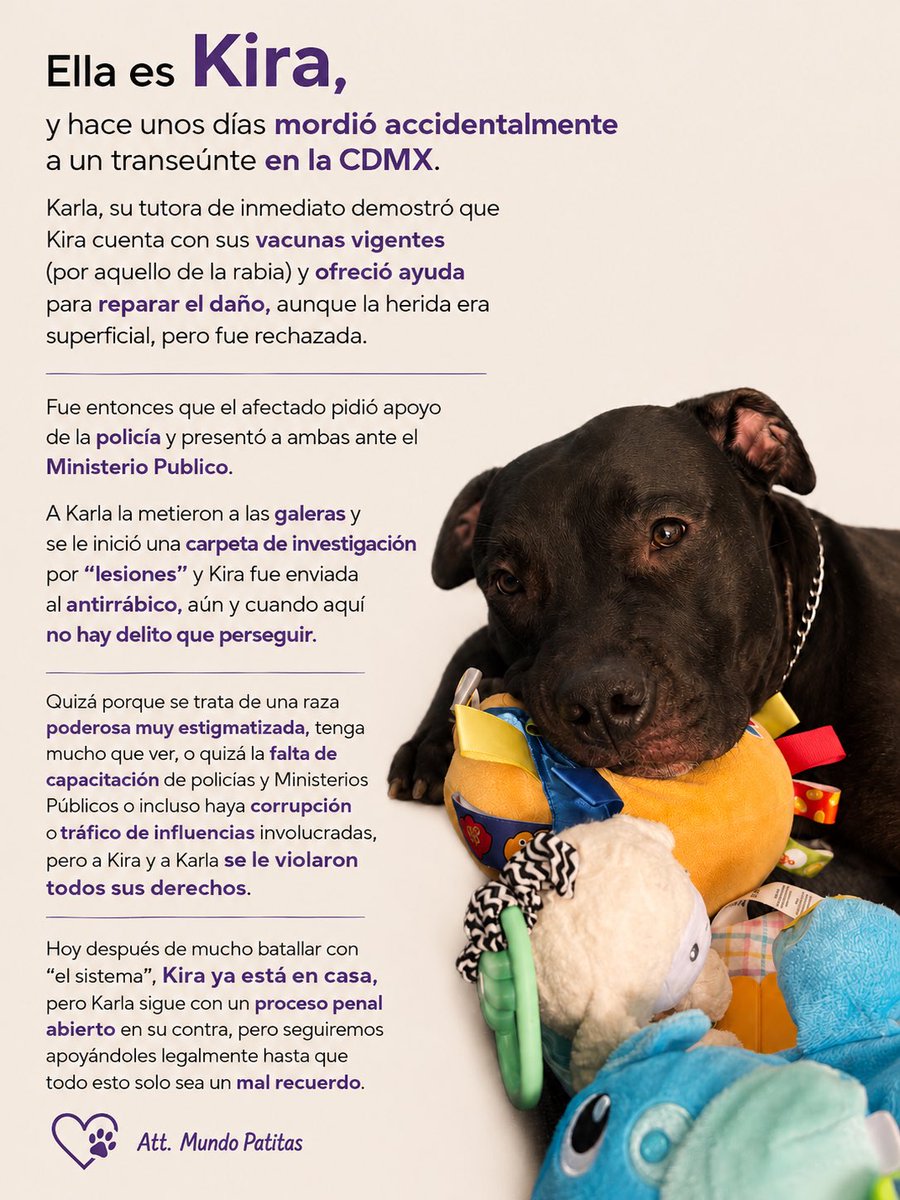 Mundo Patitas AC tweet media