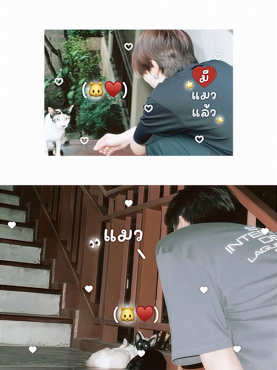 🎀 หมวยมิ ໒꒱ ˚ tweet media