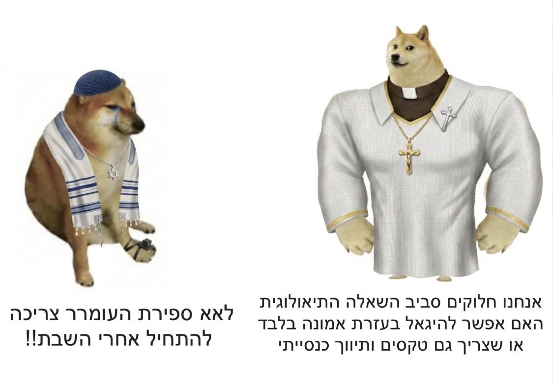 צור tweet media