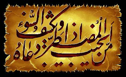 فاطیما ایرانی 🎒 tweet media