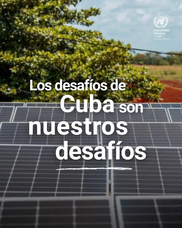 citmaciego tweet media