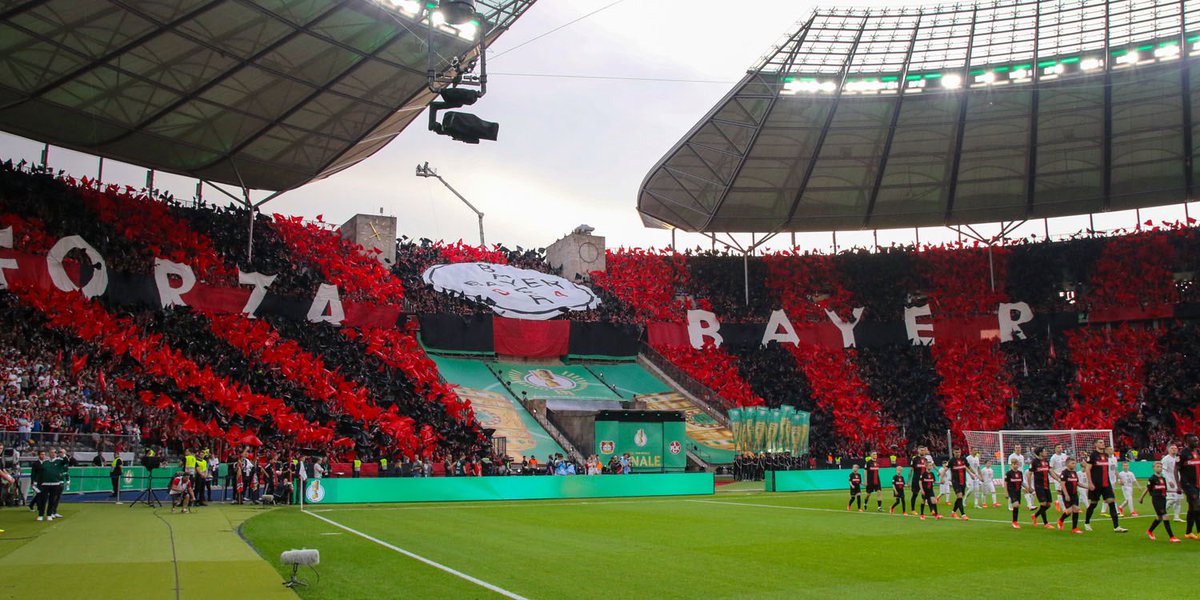 B04toni tweet media