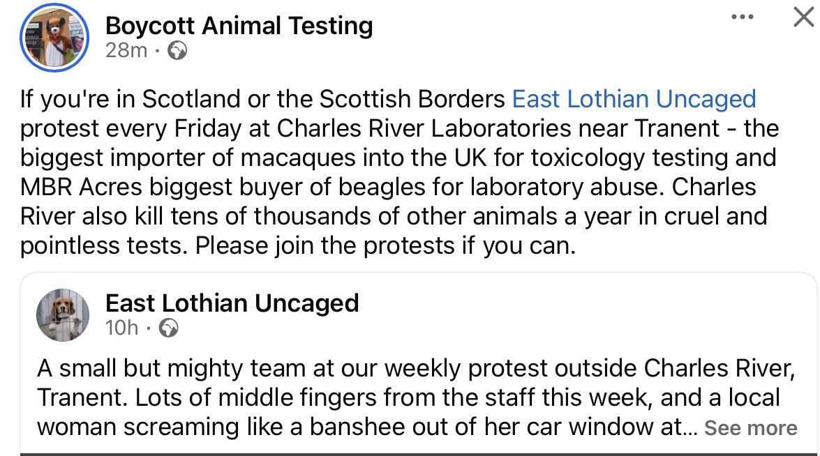 Harris Hound 🌈ScotlandBannedGreyhoundRacing 🙌🏻 tweet media