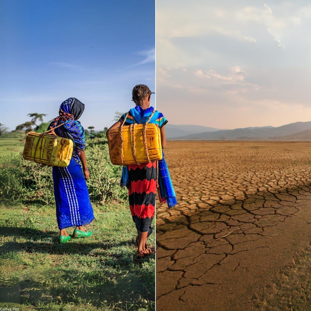 Global Goals tweet media