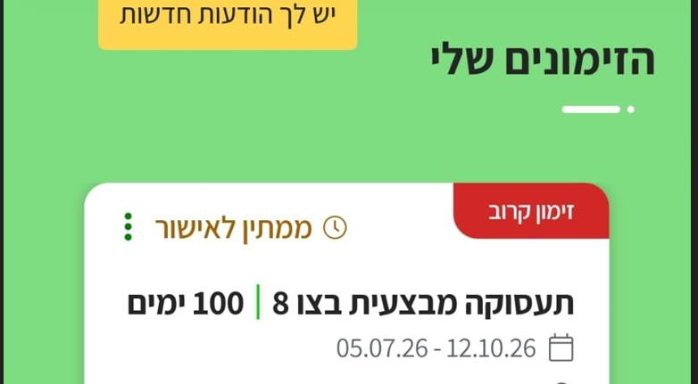 זלדה tweet media
