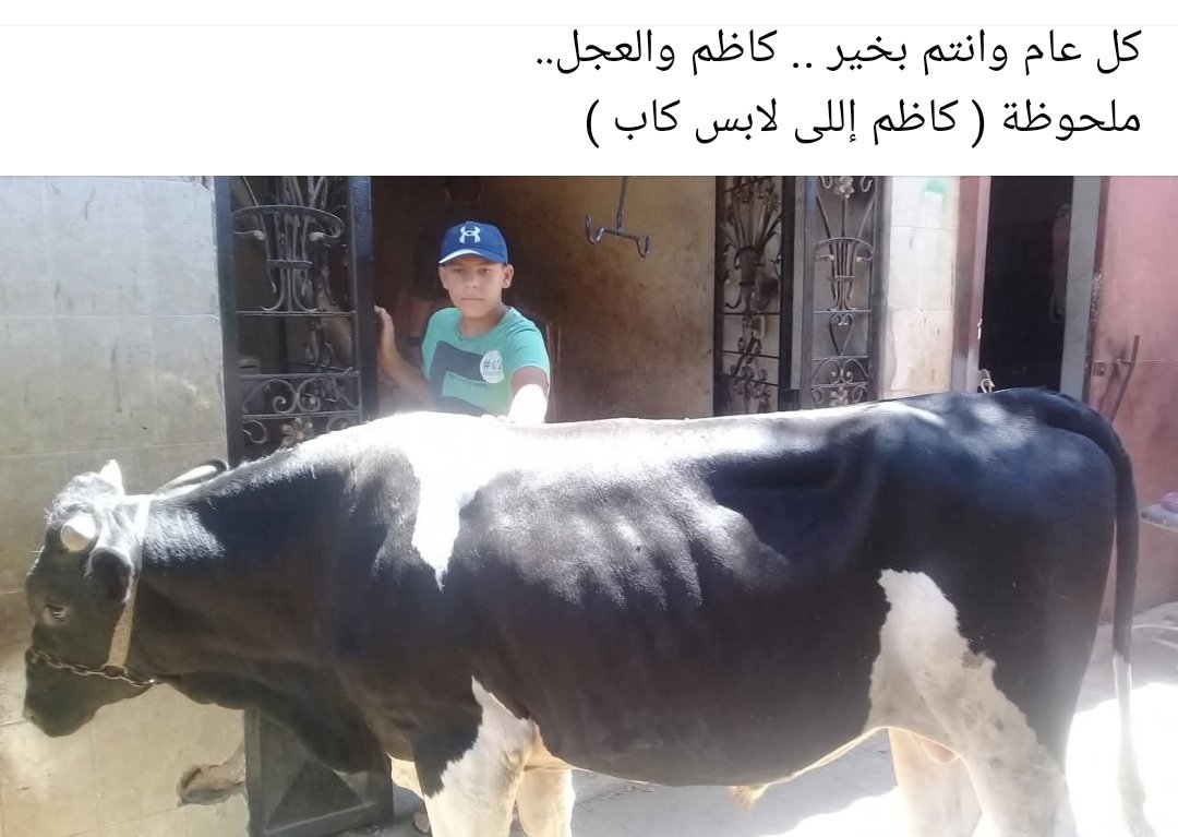 Maged. tweet media
