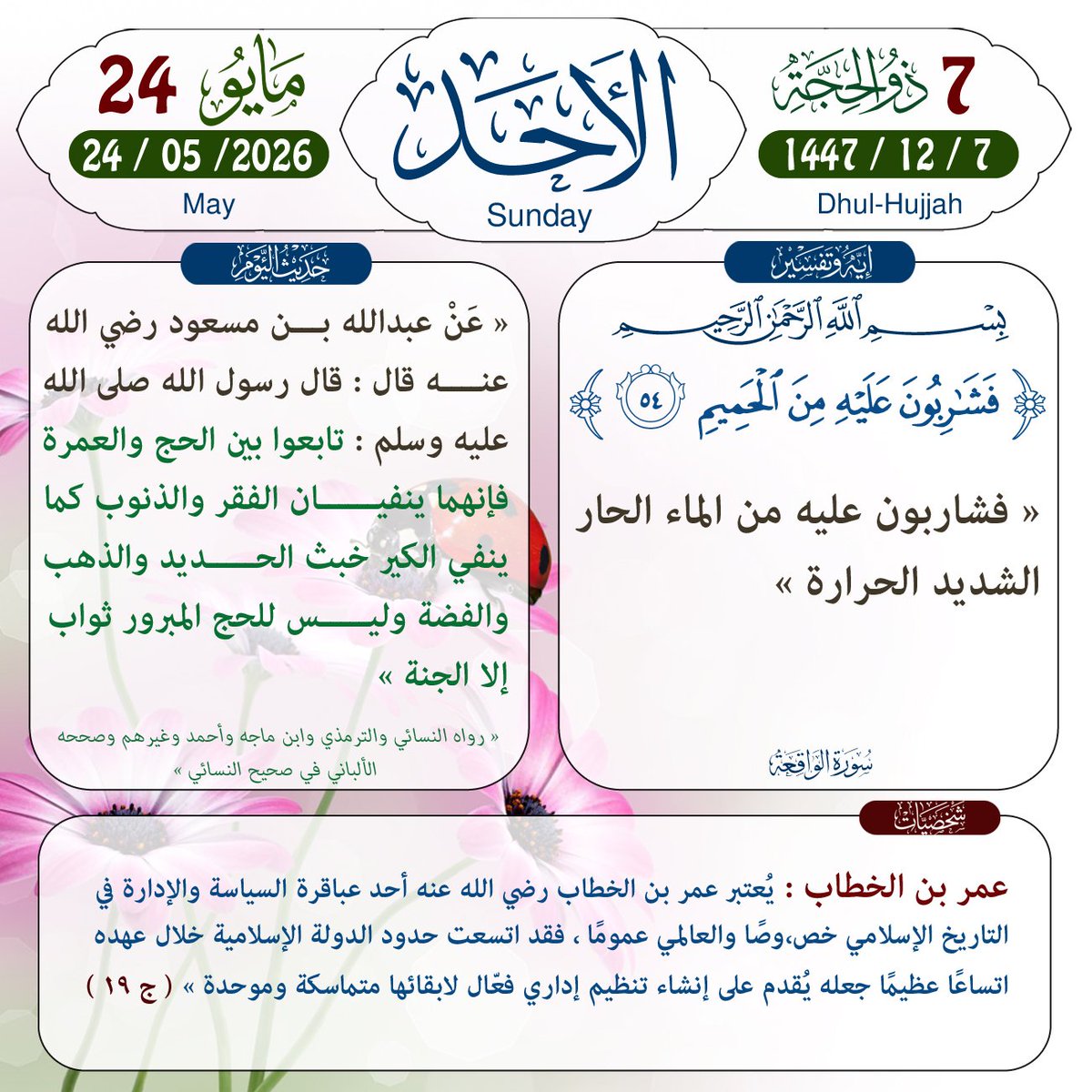 @almakhabatayn tweet media