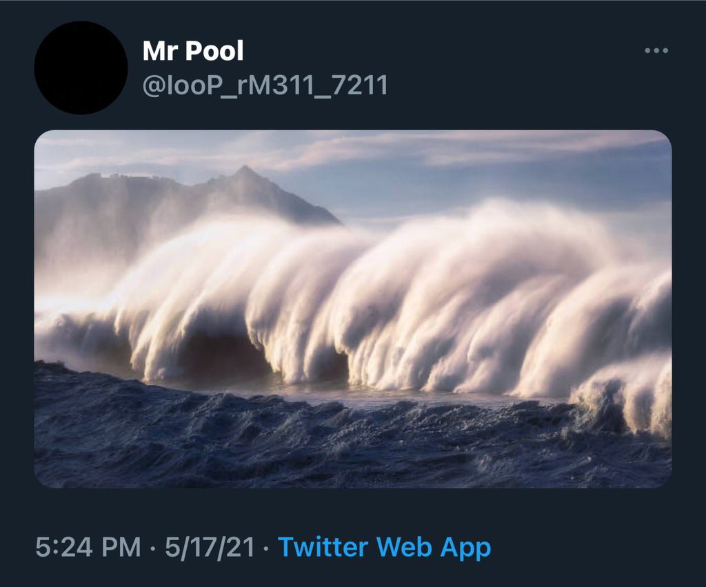 Stevie 🔮 $XRP tweet media