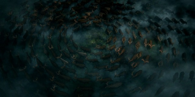 TheCinesthetic's tweet photo. Flow (2024) dir. Gints Zilbalodis https://t.co/r9f6a9k5ww