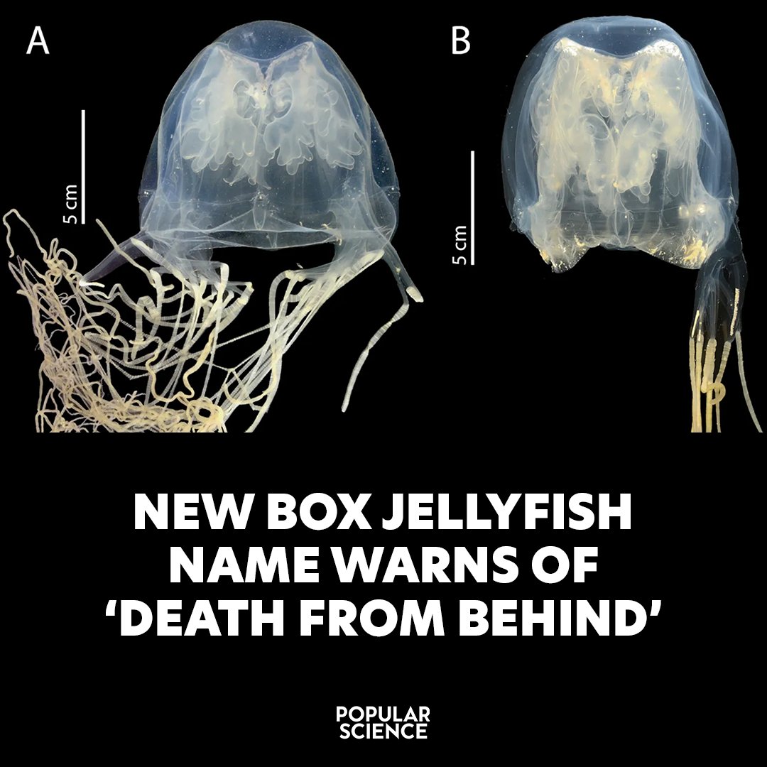 Popular Science tweet media