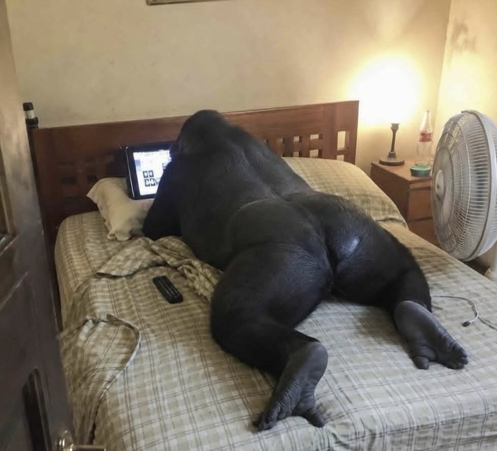 vhxp0ni's tweet photo. this is me doomscrolling twitter btw https://t.co/7E1bT5jXeZ