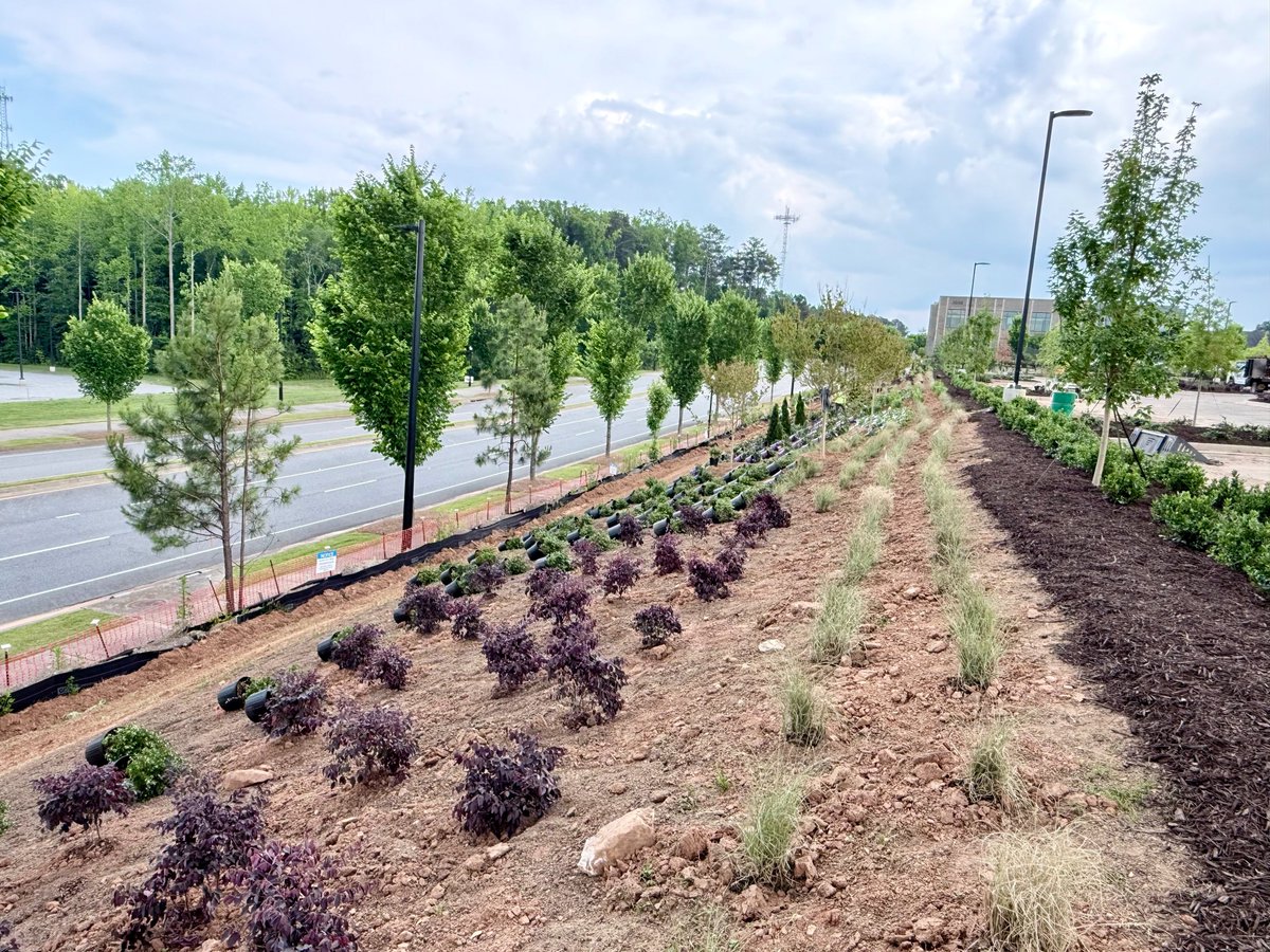 WhiteOak_LS's tweet photo. We are continuing to plant the trees and bushes at the Evans General Contractors HQ. More photos to follow...
https://t.co/vfsR4NJRSV
(770) 427-0524 https://t.co/KYZ27EpzDZ