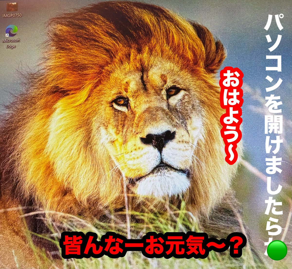 おはようございます。