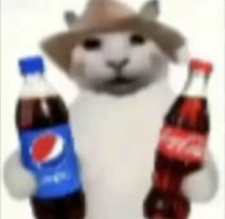 cats being cats tweet media