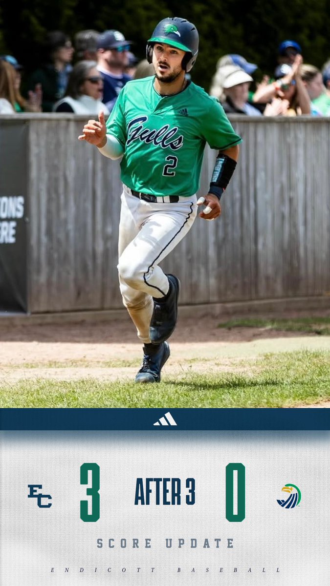 Endicott Baseball tweet media