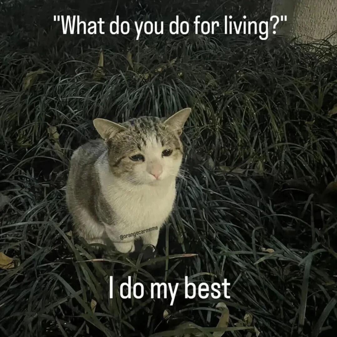 WholesomeMemes tweet media