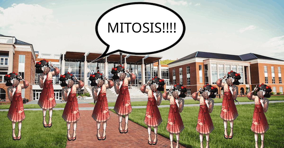 edensbase's tweet photo. Toshiko Kayura has reportedly undergone mitosis. There appears to be around 30-40 wandering around campus. They are generally harmless. Stay tuned. https://t.co/iiY6vTwOPk