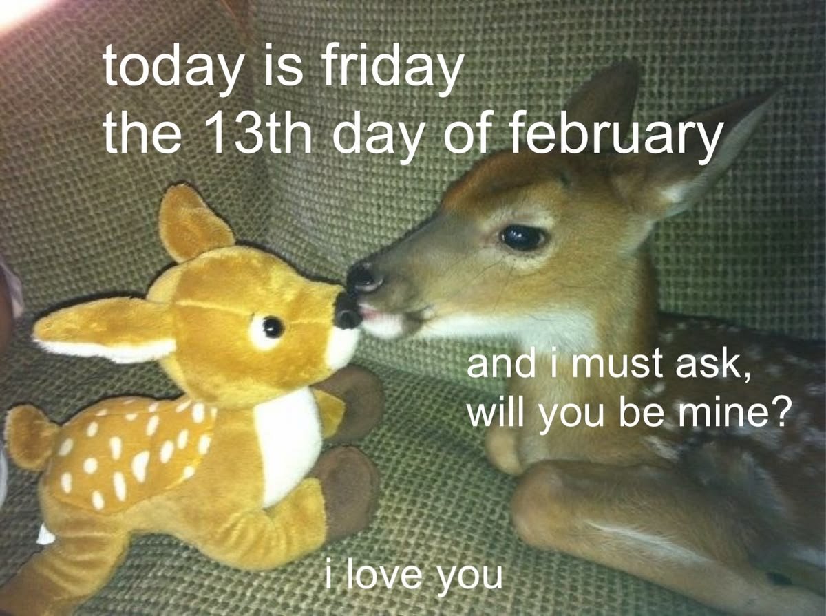 John fawn tweet media