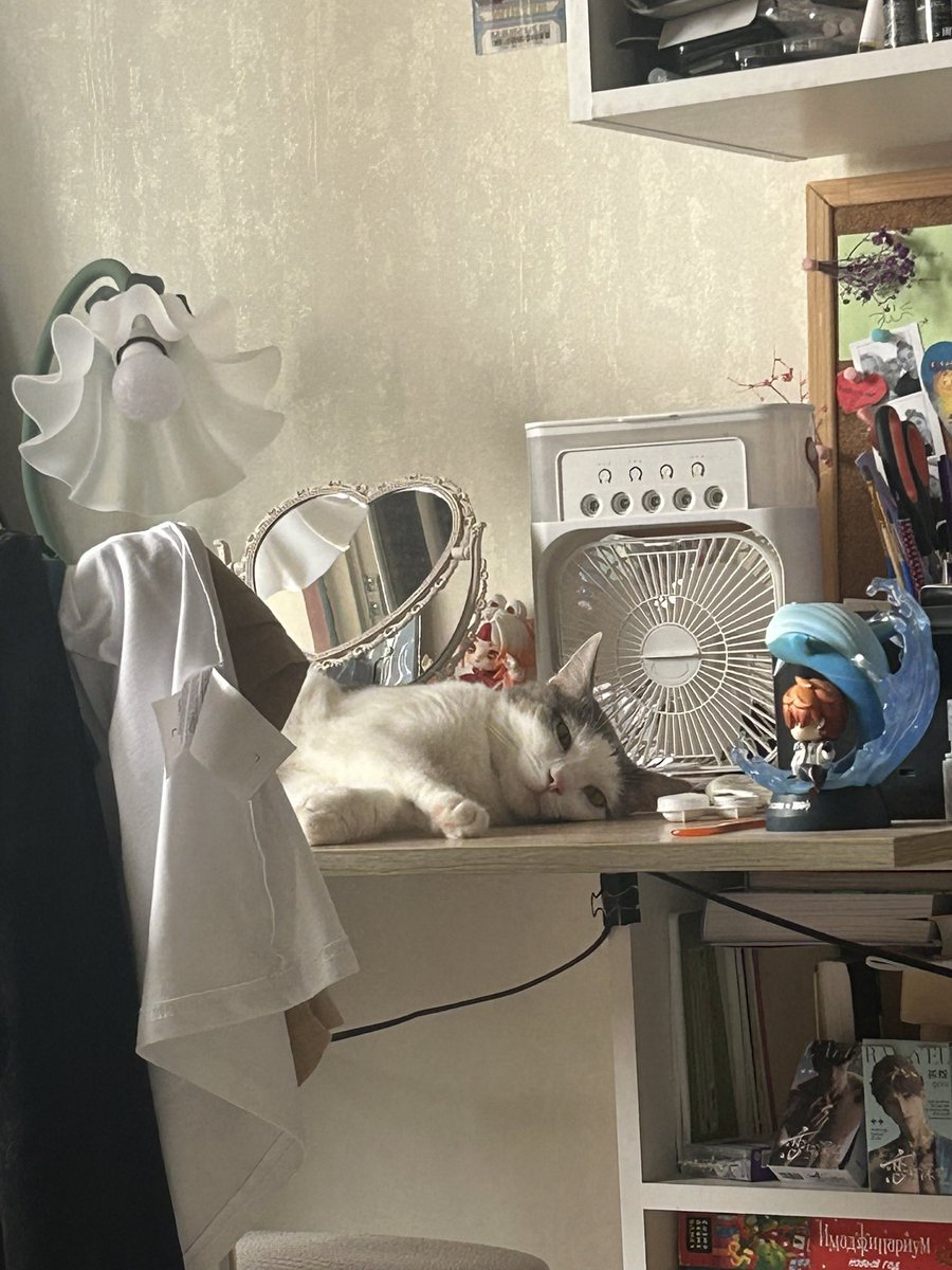 🌸главная мармеладка на районе🌸 tweet media