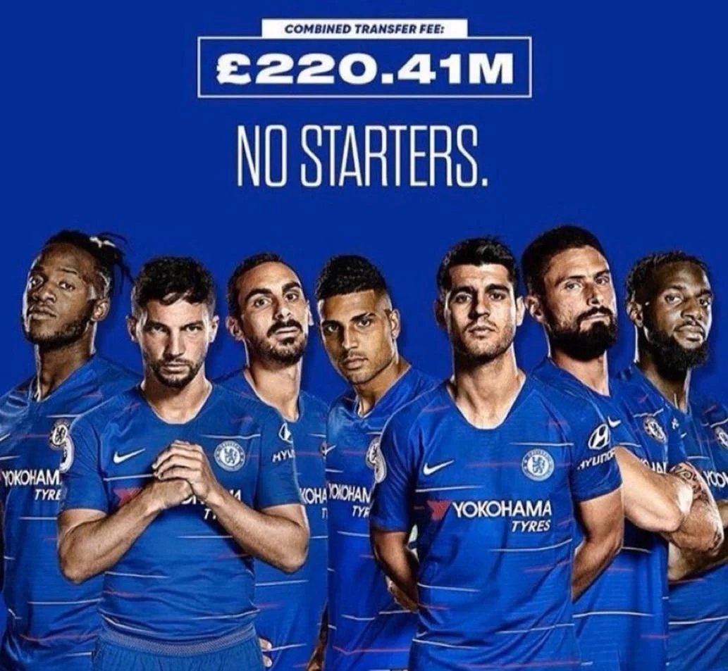Perro Chelsea #ClearlakeOUT #EghbaliOUT tweet media