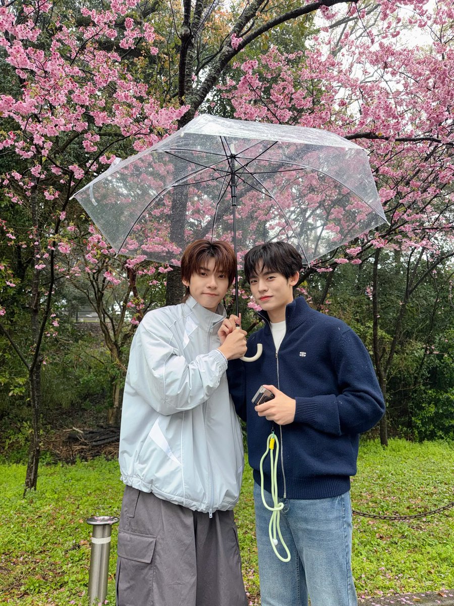 2teeporwithu's tweet photo. lovely to be rained on with you~
🌧️☔🌸

#ด้วงกับเธอSeries 
#DuangWithYouSeries https://t.co/aEhSkkuFJH