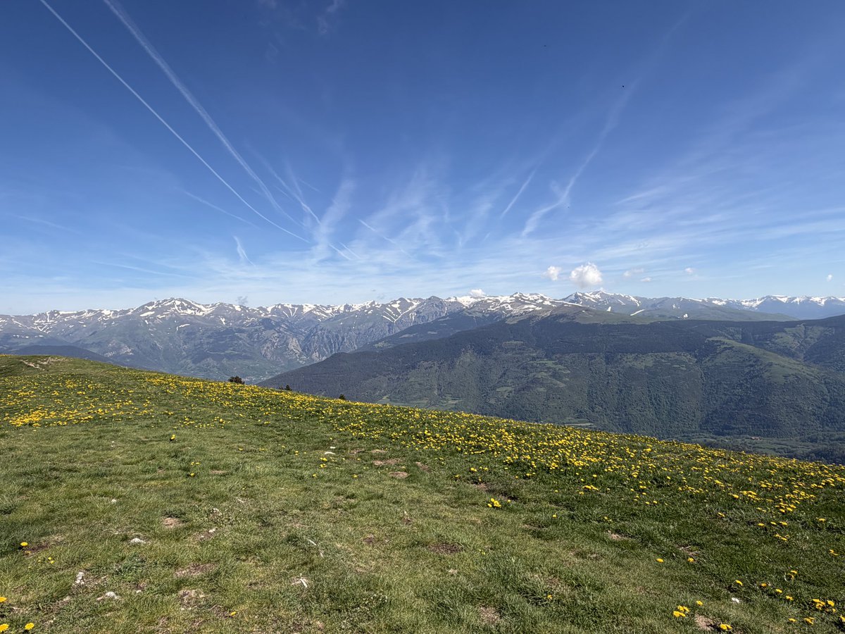 OffPep's tweet photo. Avui he pujat amunt. Taga i Puig d’estela. Ripollès humit i elegant. Muntanyes que aporten saber i coneixement.
Paisatge, natura i pensament. https://t.co/pn9zpuD8Rl