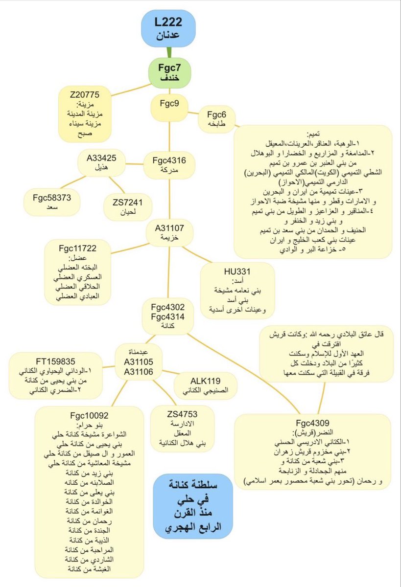 قيس tweet media