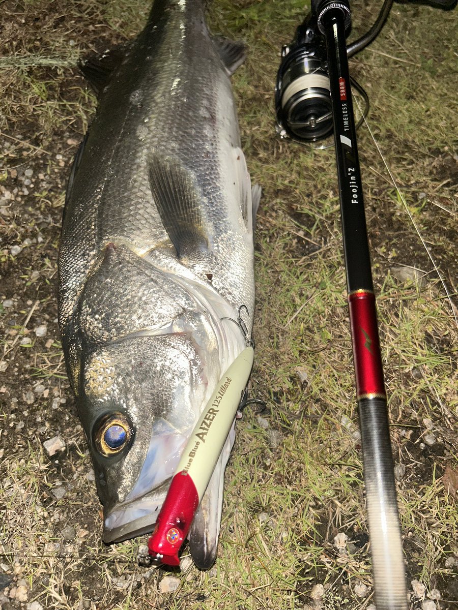 Rage1118Srh's tweet photo. 夜勤終わりにサクッと
#鳥取県 #山陰 #apia #foojinZ #TIMELESS88M #BuleBule #アイザー125リラード https://t.co/YAkzjWDUlv
