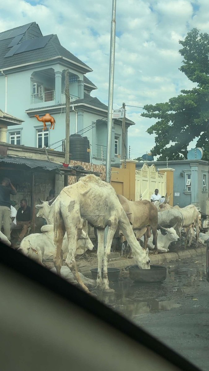 Baddy of Lagos 👑 tweet media