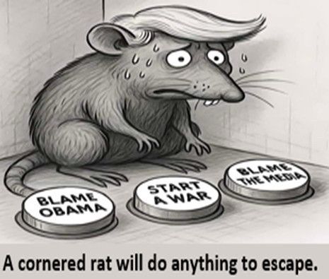 Convictions & Leavenworth 4 Trump tweet media