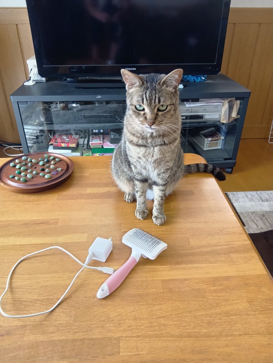 ホレタ←しらみ←DON(50歳から本気出す!) tweet media