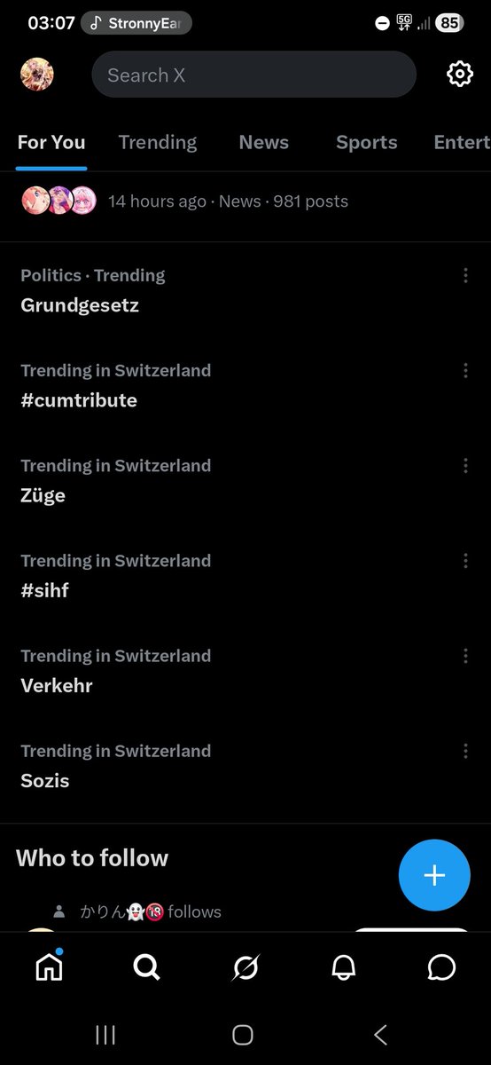 Koko tweet media