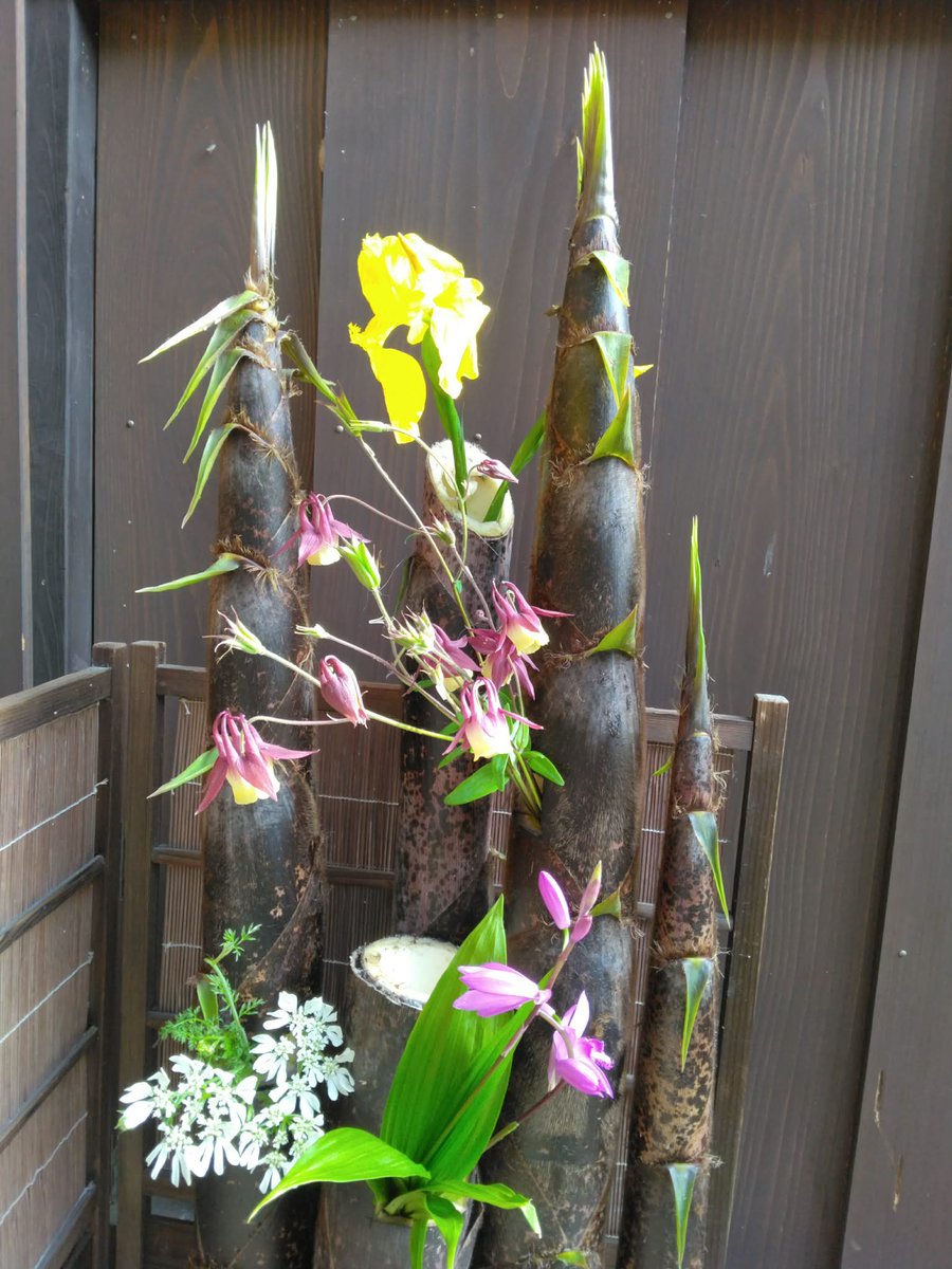 JoetsuMeika's tweet photo. -白田邸-
いつのまにか、季節が良くなりました。
お庭のお花です。

#上越名家  #上越名家ネットワーク #白田邸 https://t.co/H6yPuO2iFf