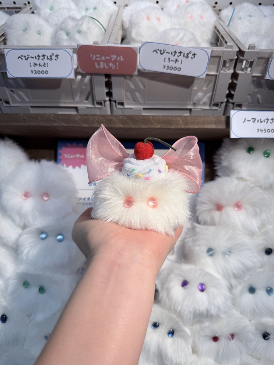 完売していたノーマルけさぱさのローズちゃん追加で連れてきました