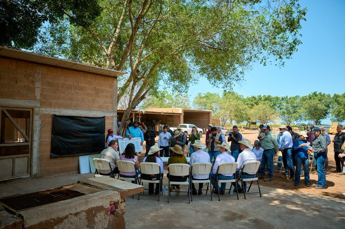 Alfonso Durazo tweet media