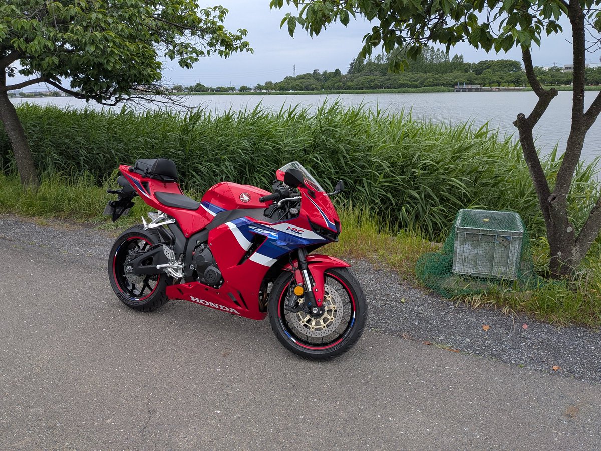 aik8241's tweet photo. 昨日の沼、異常なし！ https://t.co/3WZeSEPUZE